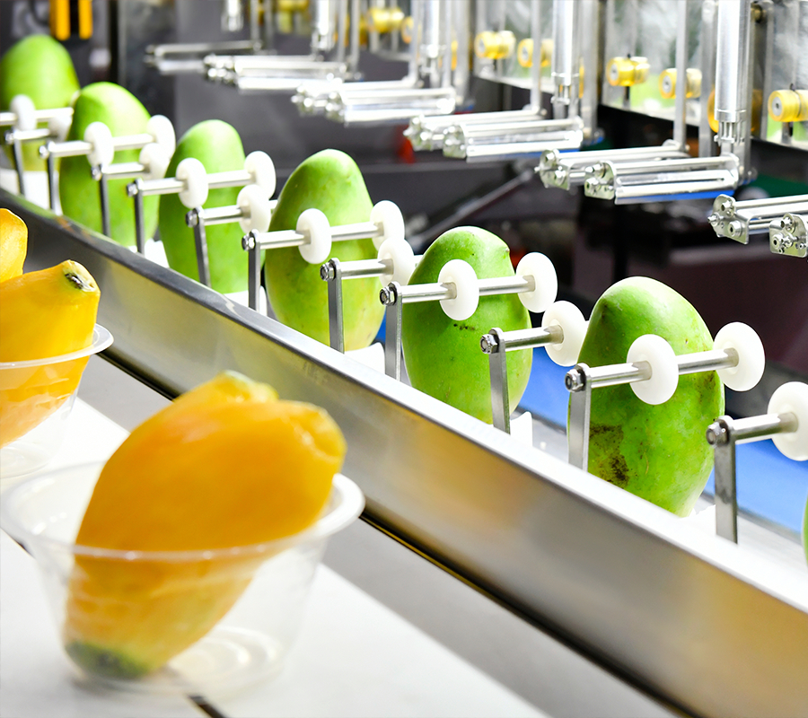 full color image of a Gates TPU® belt-driven mango peeling machine