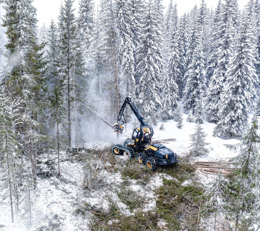 Forestry machine harvesting trees in a snowy forest