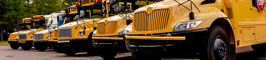 Six yellow school buses