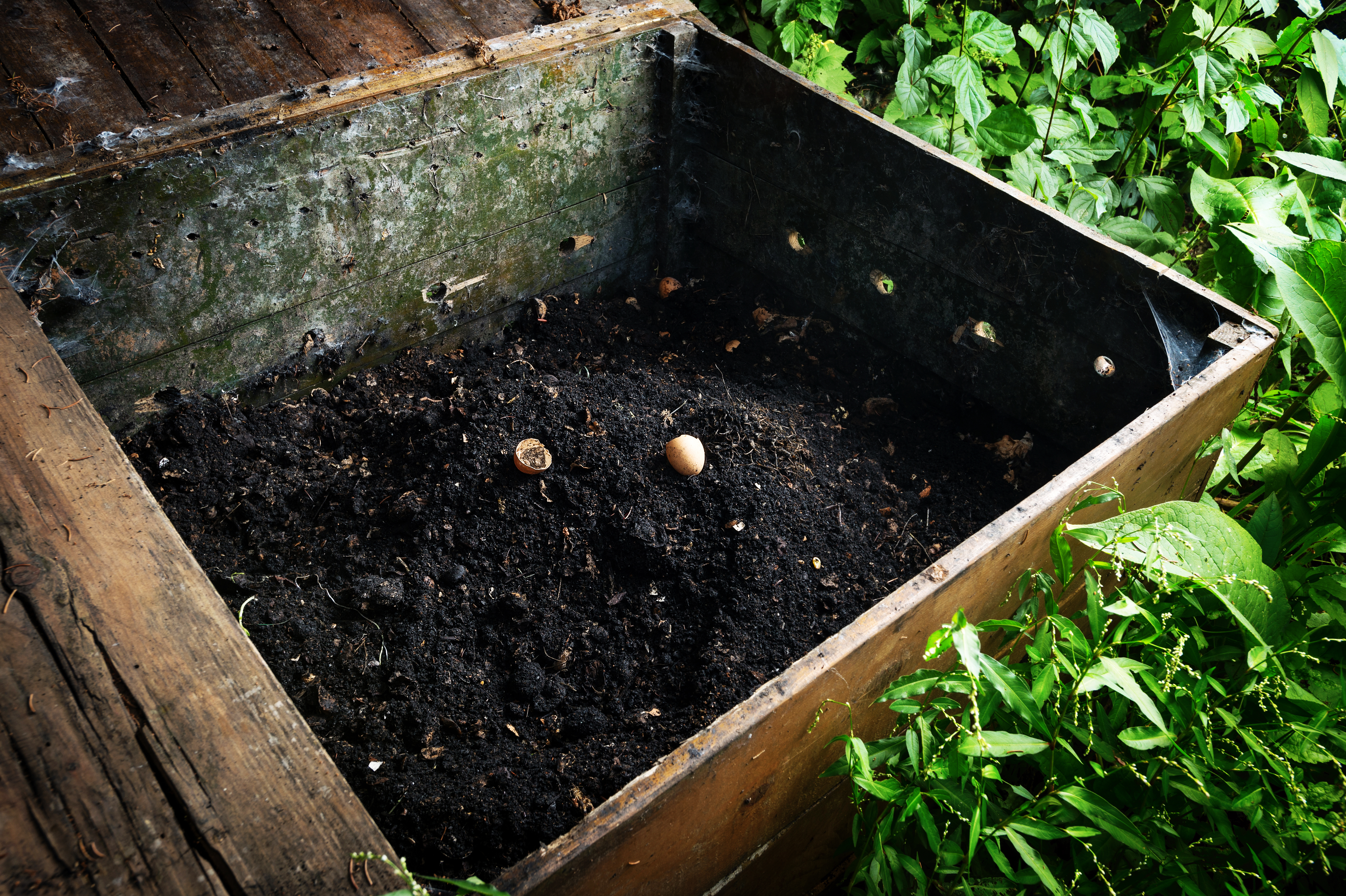 Ready made compost pile in wooden crate