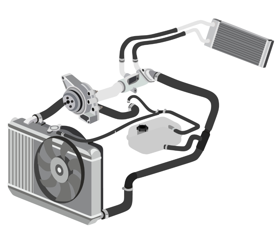 Illustration of an automotive cooling system showing radiator, fan, hoses, and water pump.