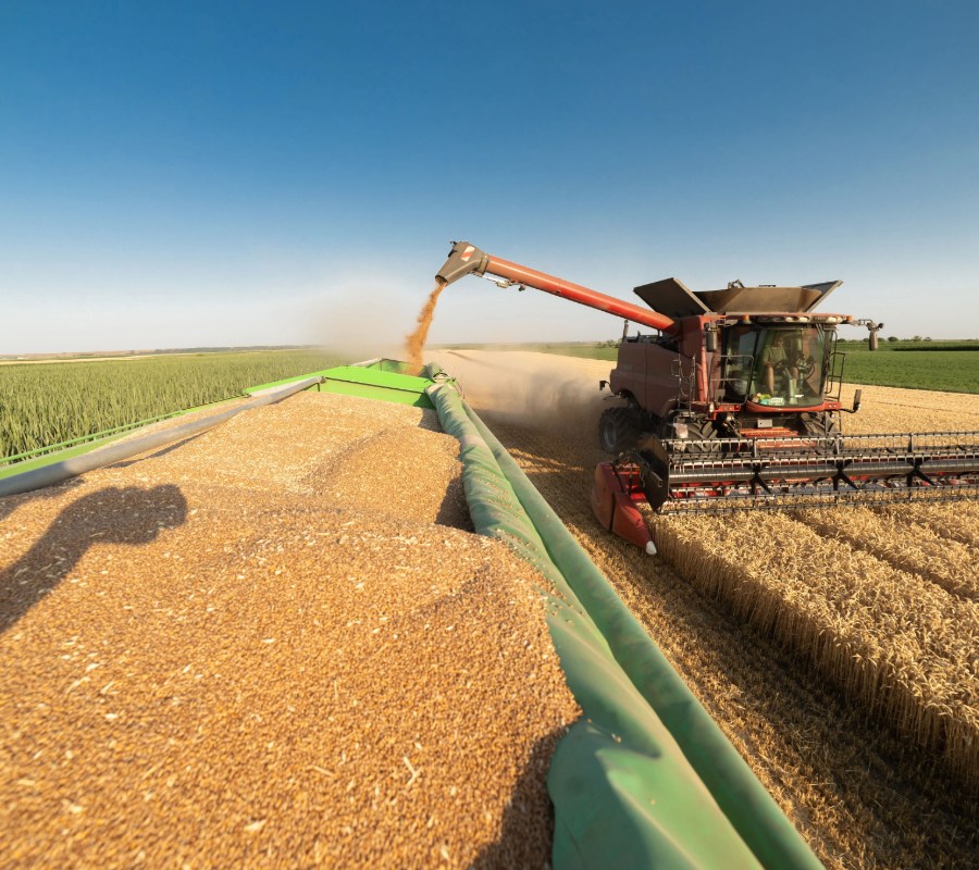 Combine harvester unloading harvested grain into a cart in a sunny agricultural field.
