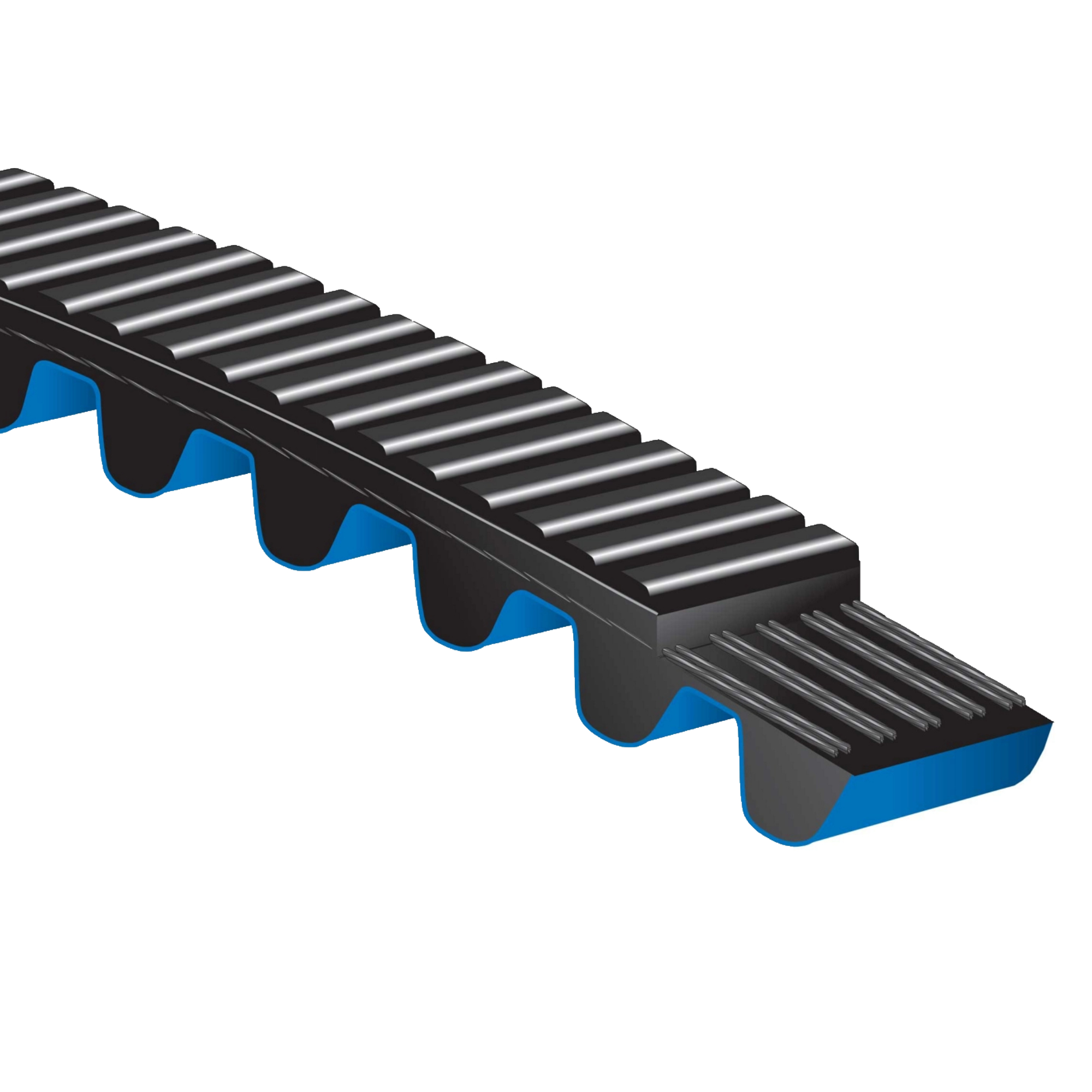 Illustration of a synchronous belt with curved teeth.