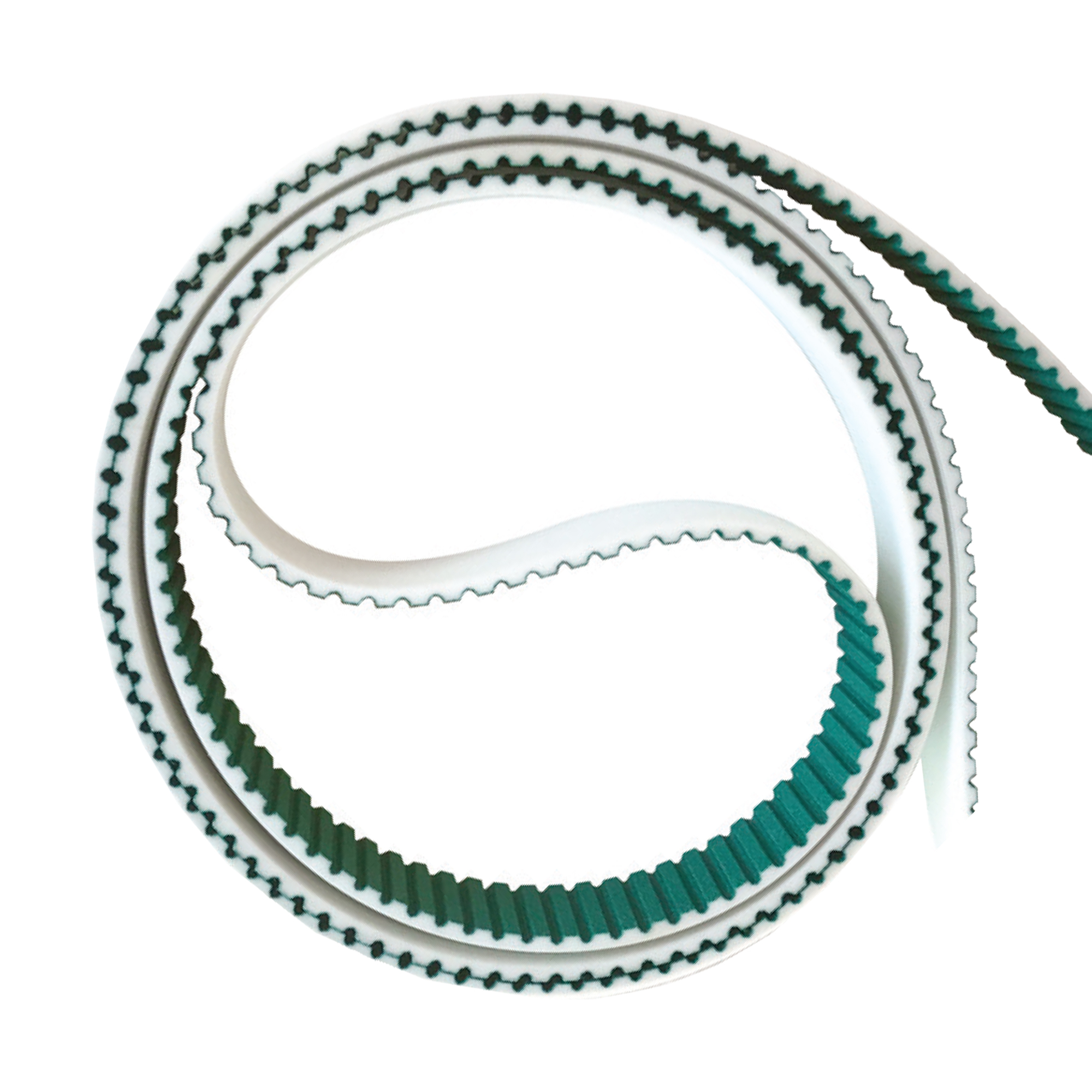 Coiled green and white Gates Truly Endless Belt with a wavy and toothed design.