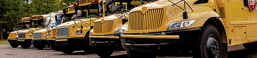Six yellow school buses